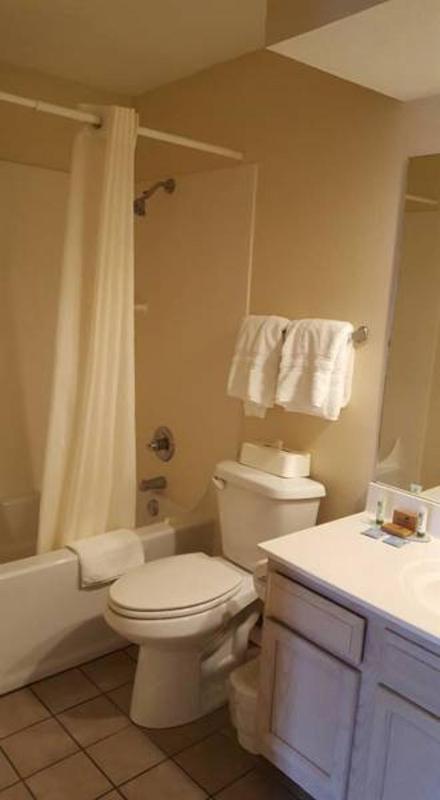 One-Bedroom Suite image 1