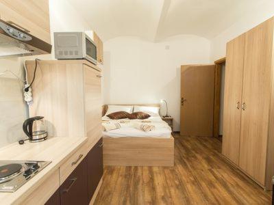 Studio Apartment image 2