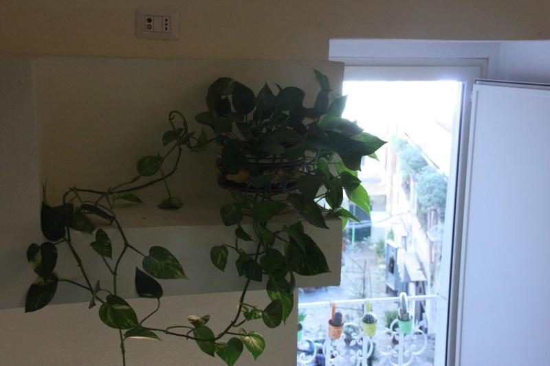 Deluxe Triple Room image 3