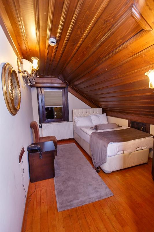 Economy Single Room image 4