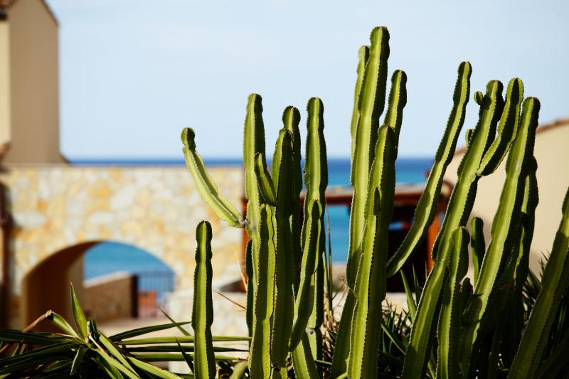 Riva Sea Apartments - image 26