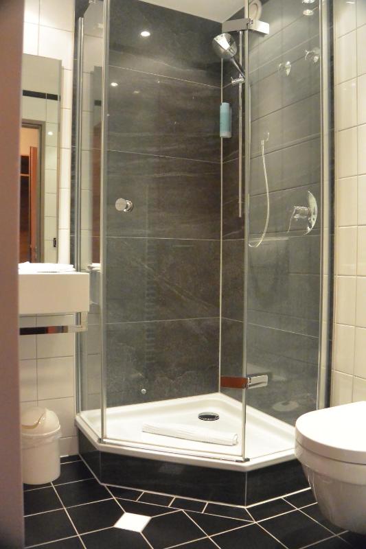 Single Room image 2