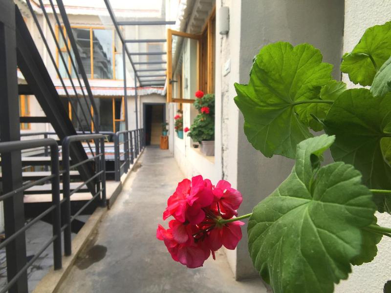 Fengma Feiyang Hostel - image 11