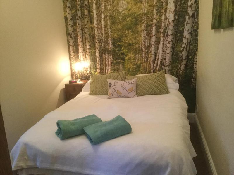 One-Bedroom Apartment - Double Bed image 2