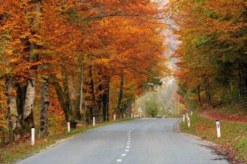 Special Offer - Double Room with Balcony and Autumn Package image 4