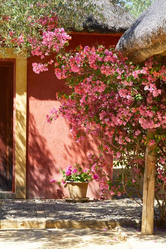 Casita (2 People) image 4
