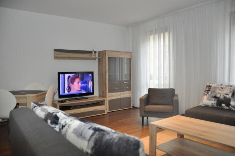 One-Bedroom Apartment image 3
