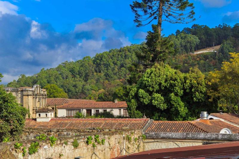 Hotel Las Camelias Inn by AHS - image 12