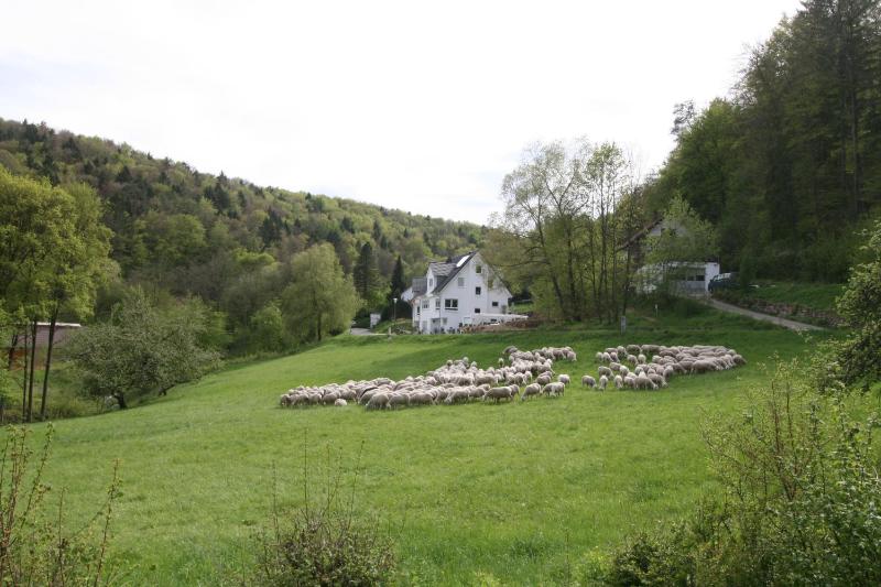 B&B Arlesbrunnen Images