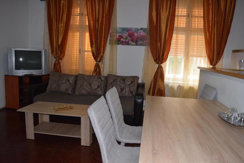 One-Bedroom Apartment image 3