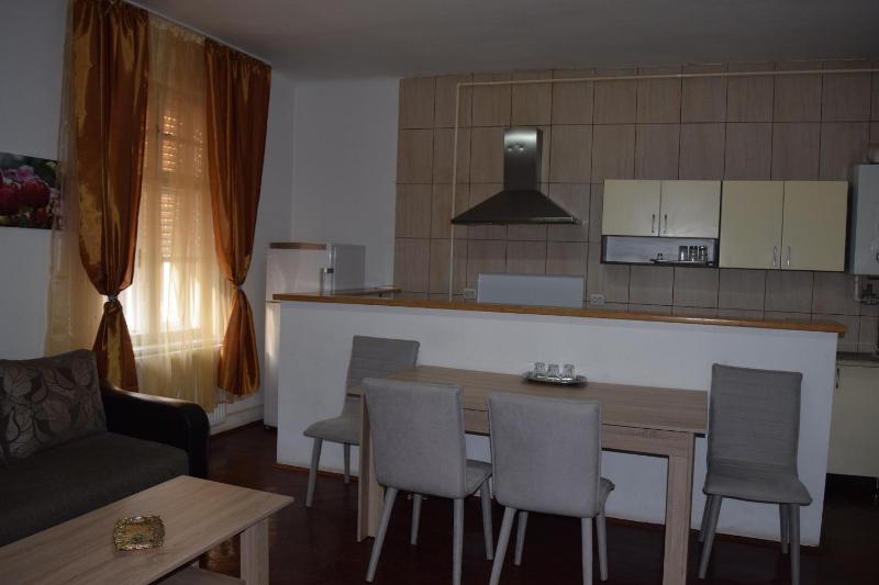 One-Bedroom Apartment image 4