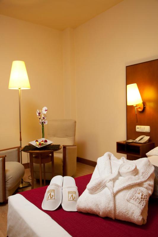 Superior Double Room image 2