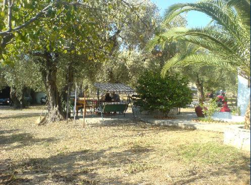 Liossis Rooms & Apartments - image 4
