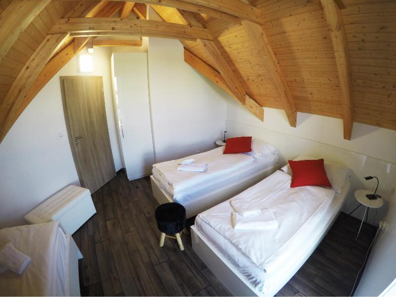 Two-Bedroom Apartment - Attic image 3
