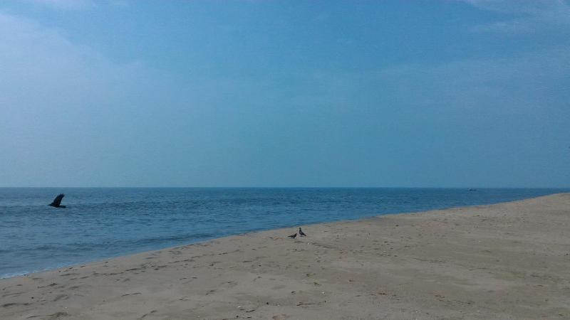 Marari Secret Beach Yoga & Kalarippayattu Homestay - image 19