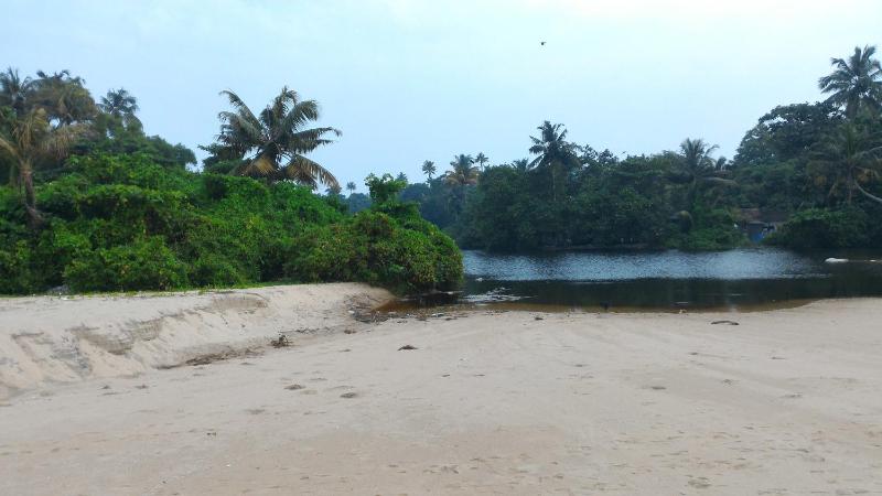Marari Secret Beach Yoga & Kalarippayattu Homestay - image 28