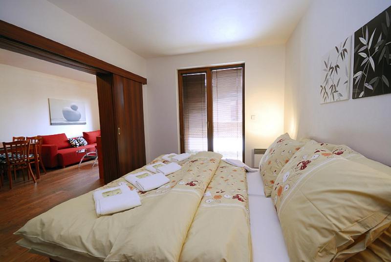 Ski & Sun Wellness Apartments - image 2