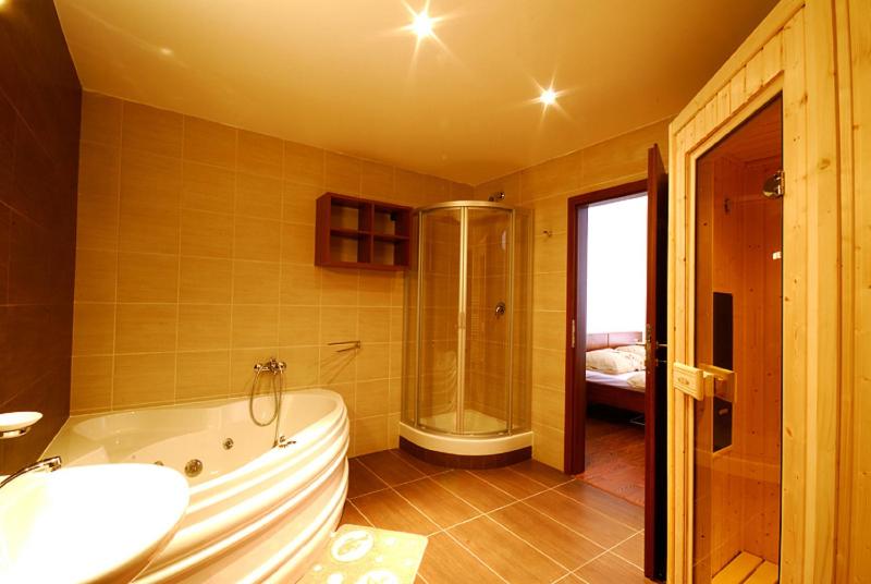 Ski & Sun Wellness Apartments - image 14