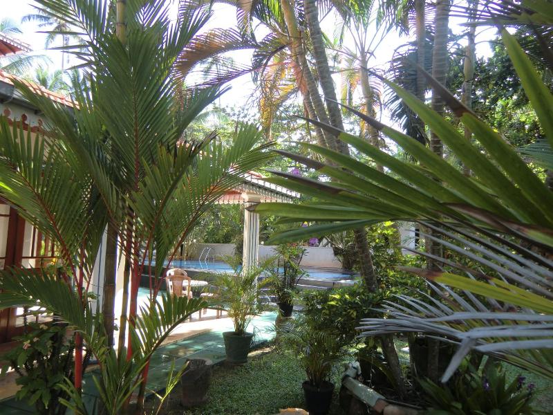 The Oasis Villa - image 26