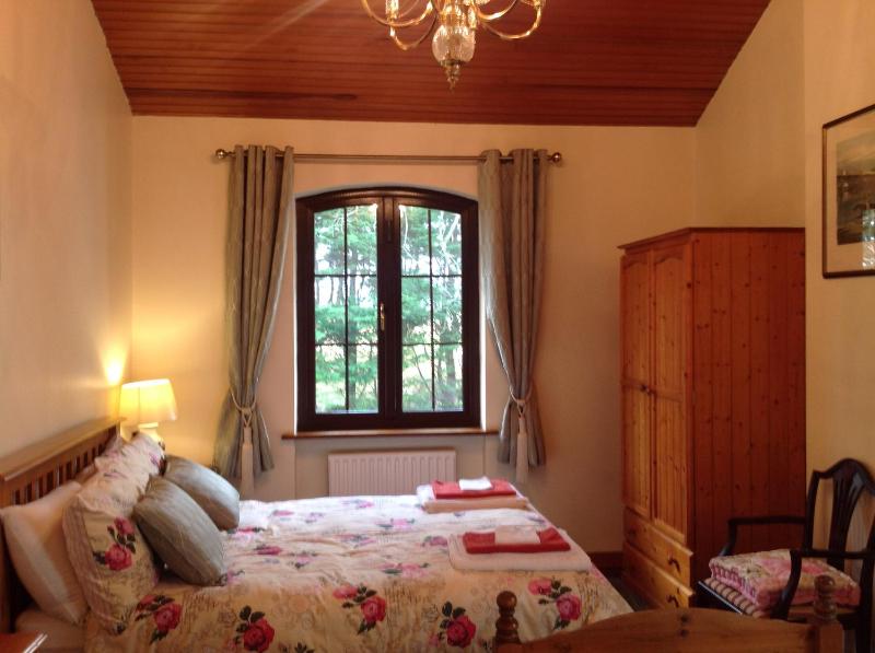 Deluxe Double Room image 3