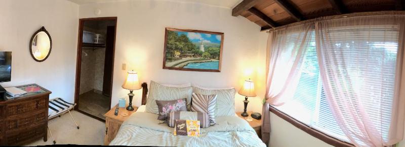 Deluxe Queen Room image 2
