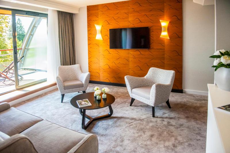 Deluxe King Suite image 3