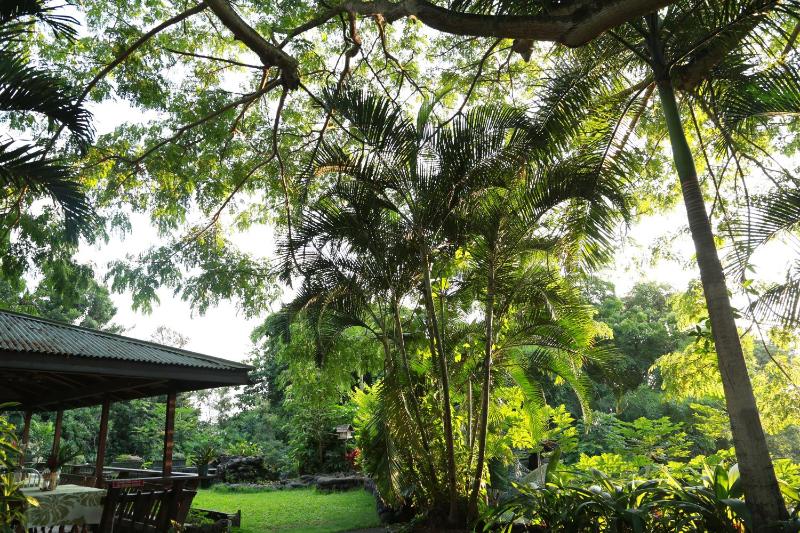 Hale Maluhia Country Inn - image 25