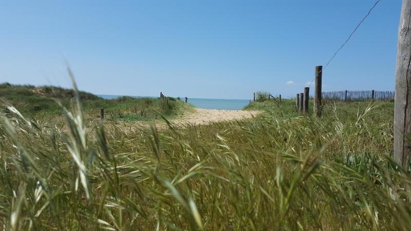 Camping La Forêt - image 50