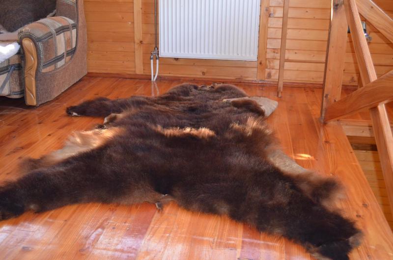 Holiday Home image 3