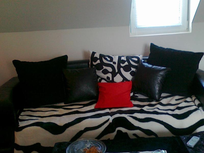 Apartman ČAR 19 - image 12