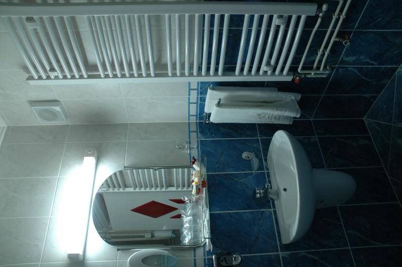 Single Apartment image 4