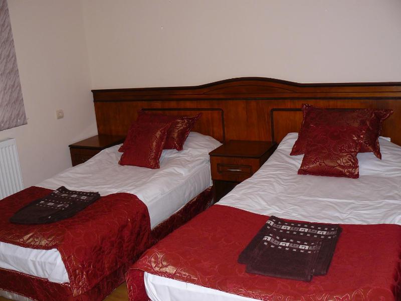 Large Double or Twin Room image 2