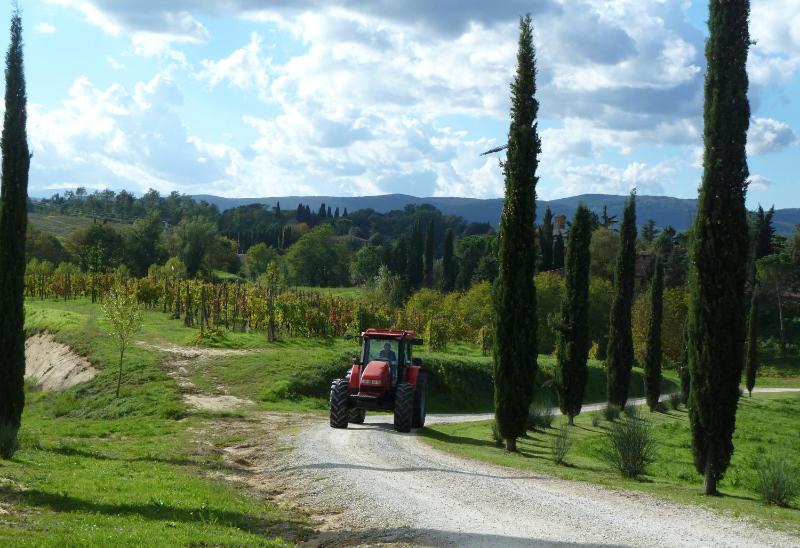 Agriturismo La Grotta Di Montecchino - image 7