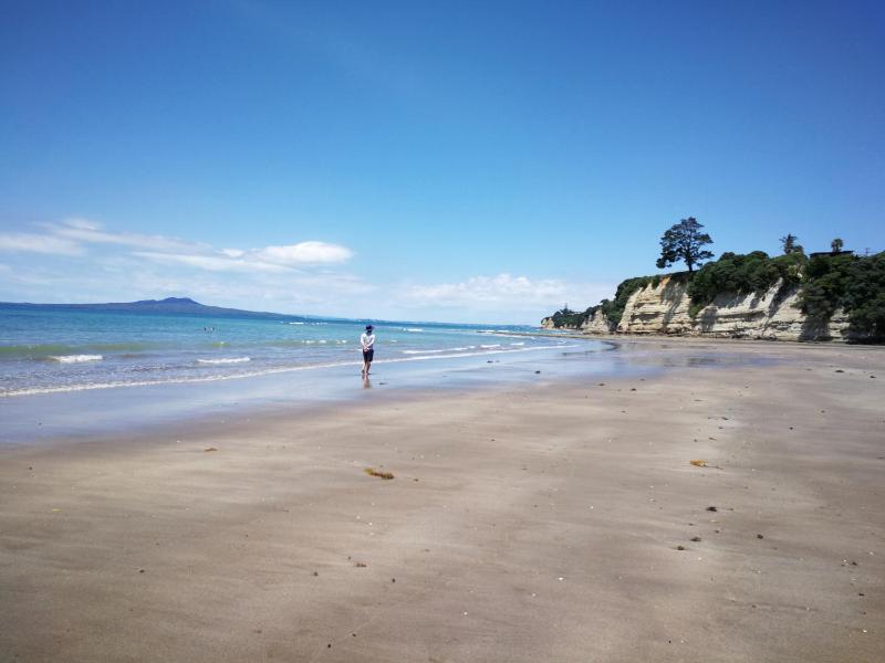 Harbour View Guesthouse - image 15