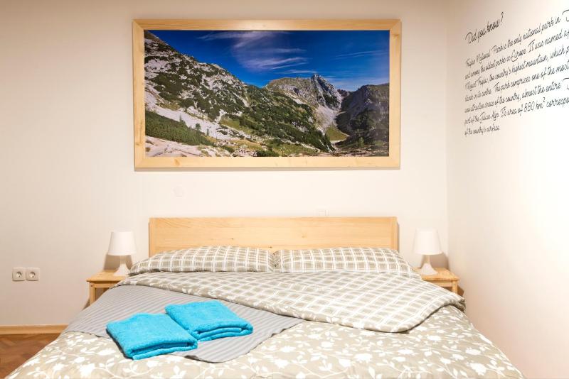 Double Room with Castle View, Balcony and Shared Bathroom image 4