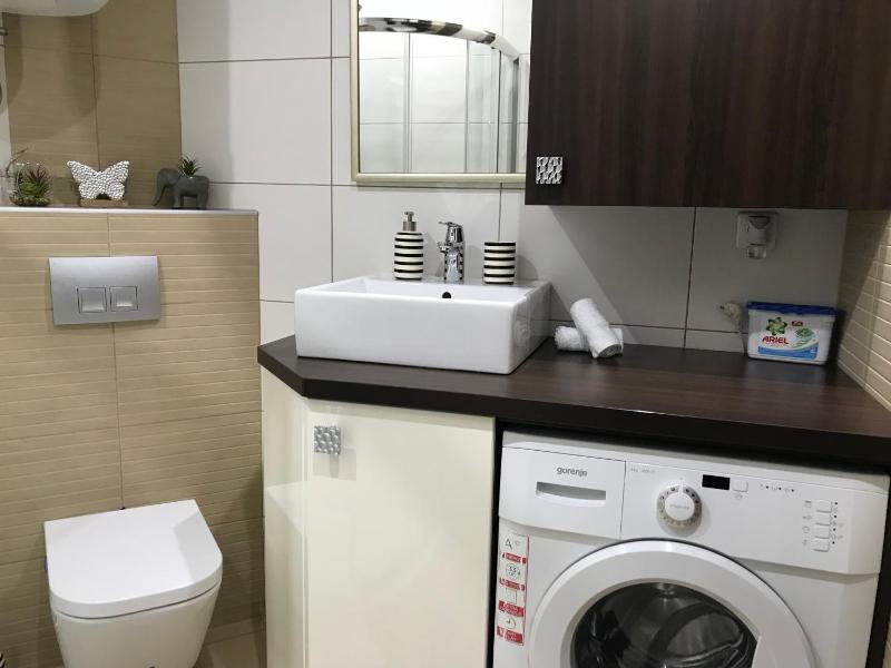 Two-Bedroom Apartment image 4