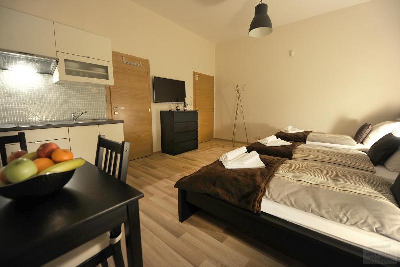 Standard Apartment image 2