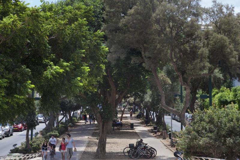TLV Living Apartment - image 6
