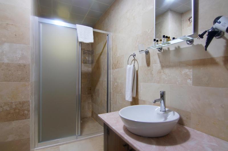 Deluxe Double or Twin Room image 2