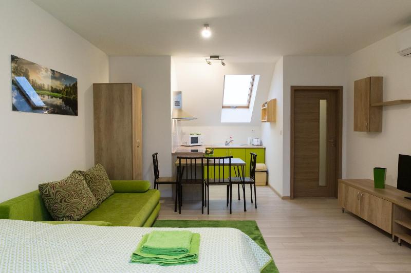 Standard Apartment image 3