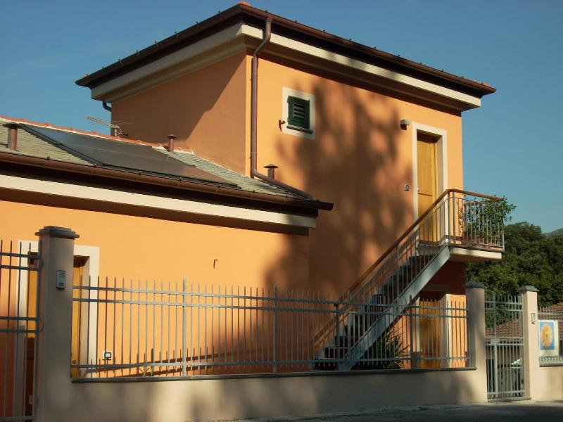 La Gerbera - image 14