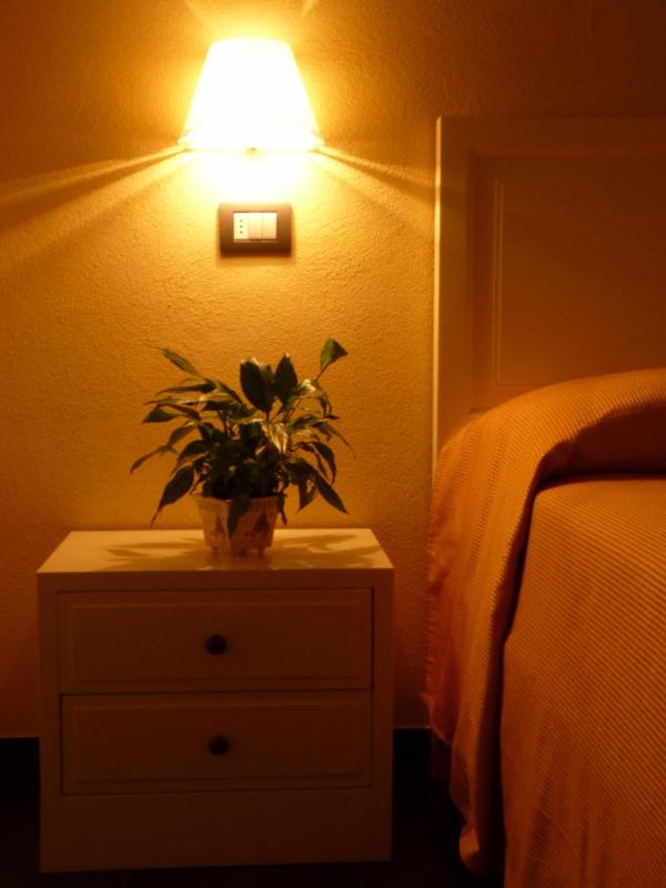 La Gerbera - image 33