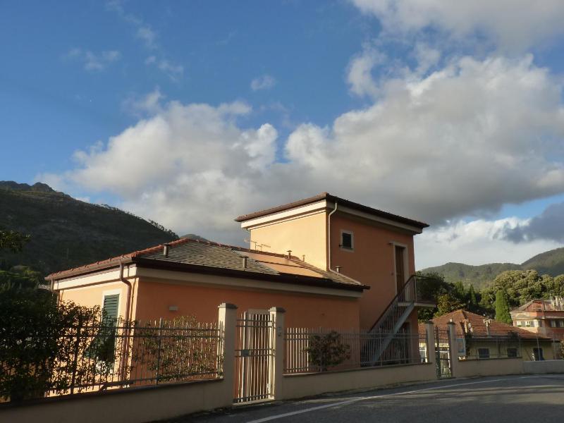 La Gerbera - image 16