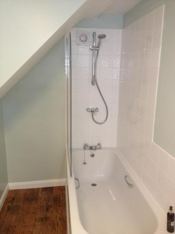 One-Bedroom Queen Suite image 1