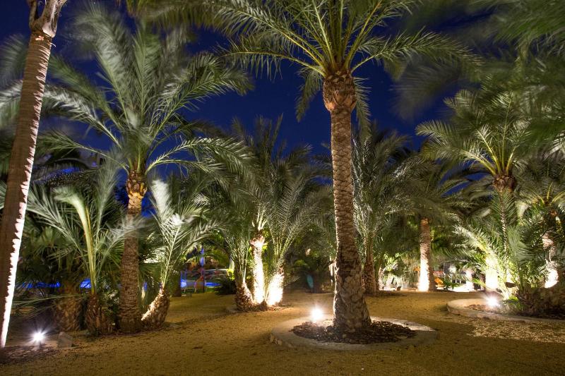 Apartamentos El Palmeral de Madaria - image 40