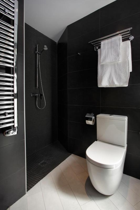 Deluxe One-Bedroom Apartment with Balcony  image 4