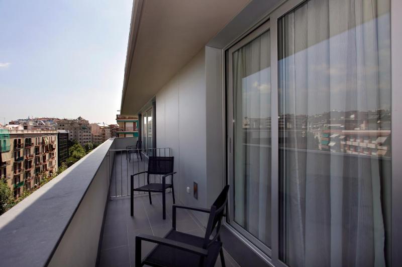 Deluxe One-Bedroom Apartment with Balcony  image 3