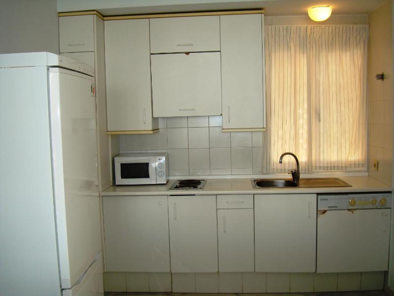 Two-Bedroom Apartment  image 4