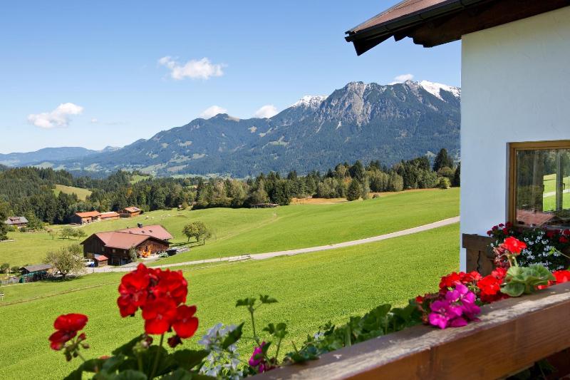 Comfort Double Room with Balcony and Mountain View image 3