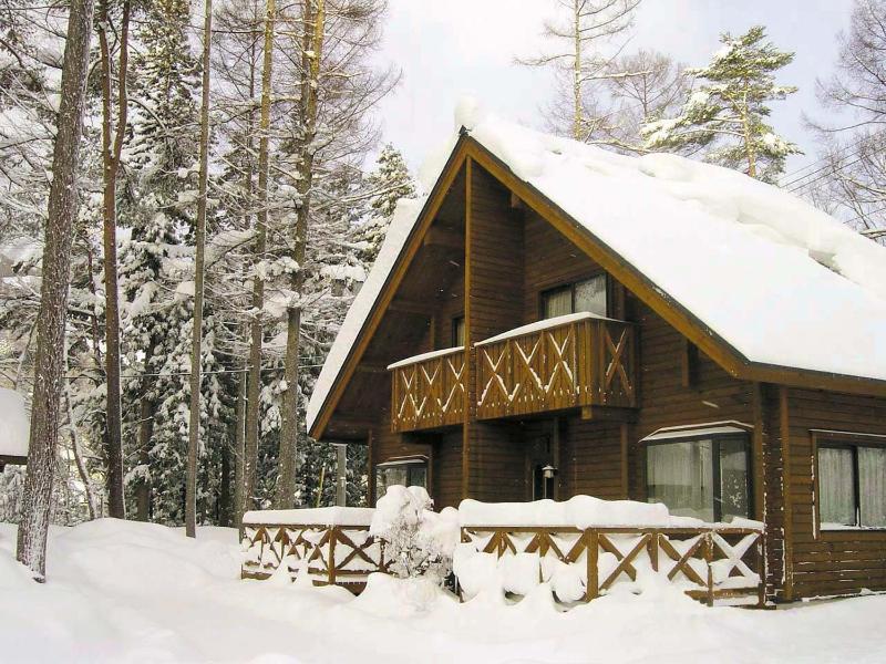 Log Cottage Epoch - image 21